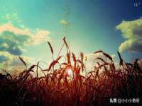 石家庄途盼商贸有限公司