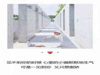 石家庄途盼商贸有限公司