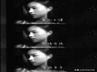 石家庄途盼商贸有限公司