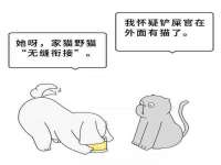 石家庄途盼商贸有限公司
