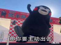 石家庄途盼商贸有限公司