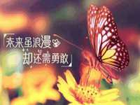 石家庄途盼商贸有限公司