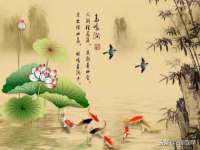 石家庄途盼商贸有限公司