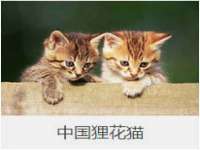 石家庄途盼商贸有限公司