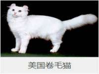 石家庄途盼商贸有限公司