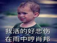 石家庄途盼商贸有限公司