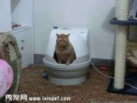 石家庄途盼商贸有限公司