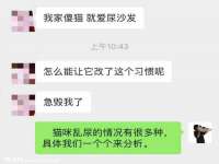 石家庄途盼商贸有限公司