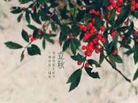 石家庄途盼商贸有限公司