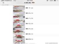 石家庄途盼商贸有限公司