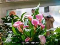 石家庄途盼商贸有限公司