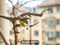 石家庄途盼商贸有限公司
