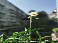 石家庄途盼商贸有限公司