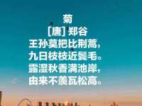 石家庄途盼商贸有限公司