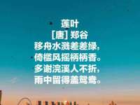 石家庄途盼商贸有限公司