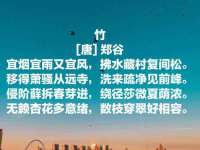 石家庄途盼商贸有限公司