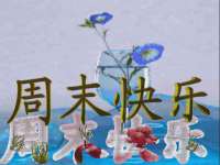 石家庄途盼商贸有限公司