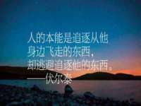 石家庄途盼商贸有限公司