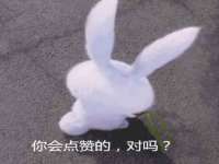 石家庄途盼商贸有限公司