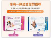 石家庄途盼商贸有限公司