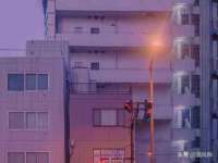 石家庄途盼商贸有限公司