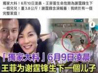 石家庄途盼商贸有限公司