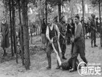 石家庄途盼商贸有限公司