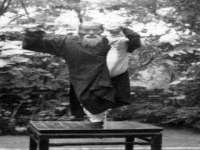 石家庄途盼商贸有限公司