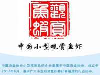 石家庄途盼商贸有限公司
