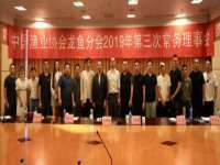 石家庄途盼商贸有限公司