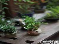 石家庄途盼商贸有限公司