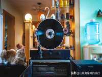 石家庄途盼商贸有限公司