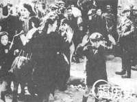 石家庄途盼商贸有限公司