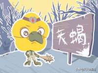 石家庄途盼商贸有限公司