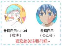 石家庄途盼商贸有限公司