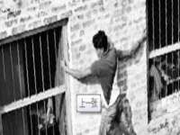 石家庄途盼商贸有限公司