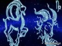 石家庄途盼商贸有限公司