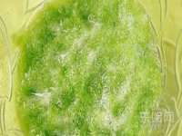 石家庄途盼商贸有限公司