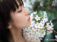 石家庄途盼商贸有限公司
