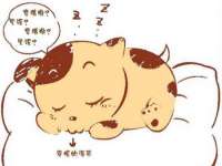 石家庄途盼商贸有限公司