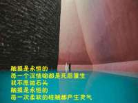石家庄途盼商贸有限公司