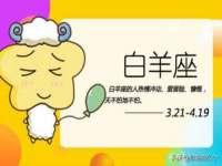 石家庄途盼商贸有限公司
