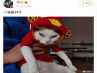 石家庄途盼商贸有限公司