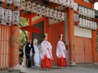 石家庄途盼商贸有限公司