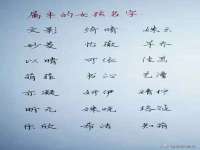 石家庄途盼商贸有限公司