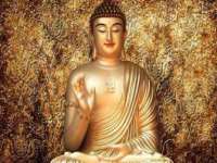 石家庄途盼商贸有限公司