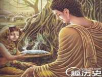 石家庄途盼商贸有限公司